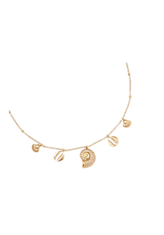 KETTE MIT MUSCHELN GOLD